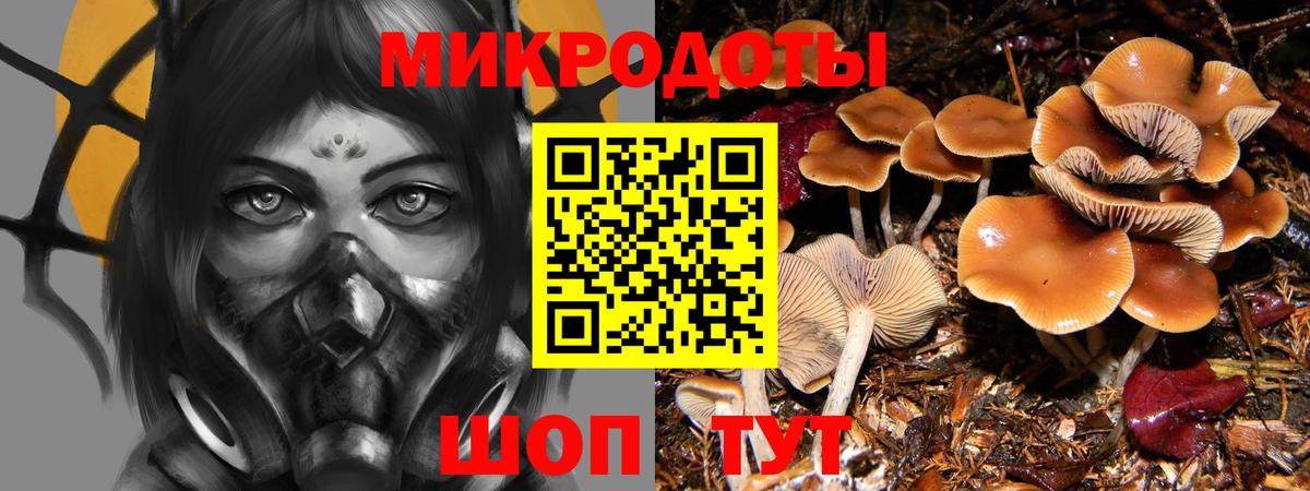 наркотики  Галлюциногенные грибы Psilocybe  Псилоцибиновые грибы прущие грибы  Вход с VPN  Арзамас 
